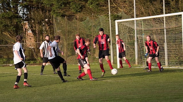 致力于心理 致力于心理